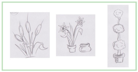 plant-sketches_d